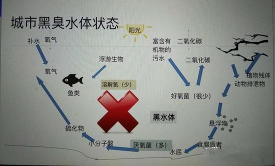 江蘇億元投資治污新技術(shù) 石墨烯能否治理黑臭水體？