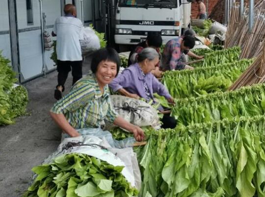 國網新田縣供電公司助力貧困村脫貧致富