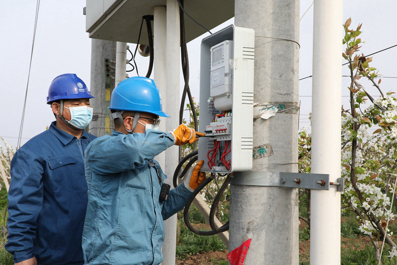 國網(wǎng)諸城市供電公司電力足，千畝梨園花正濃