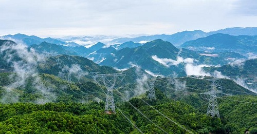 【非凡十年】國(guó)網(wǎng)浙江電力公司：不負(fù)綠水青山 之江勇立潮頭