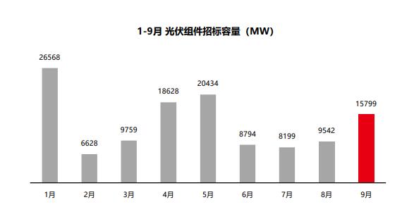 組件招標量飆升，莫讓“最低價中標”中傷“中國名片”