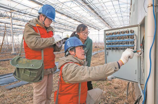 江蘇省新沂市：優(yōu)質(zhì)服務(wù)送上門(mén) 水蜜桃富了老范村