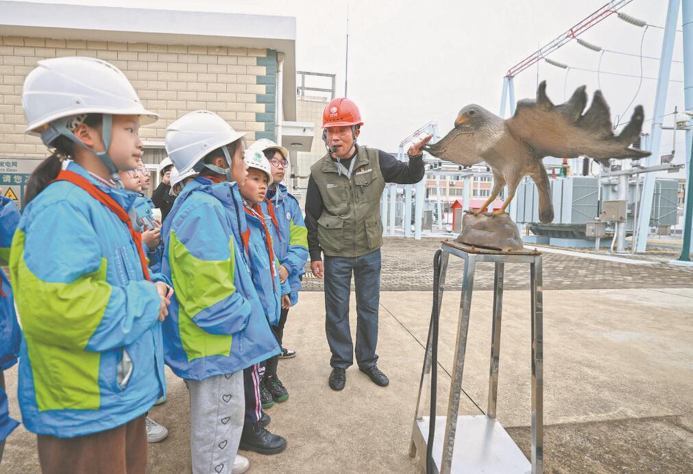 安徽池州供電公司：護鳥又護線 筑美好家園