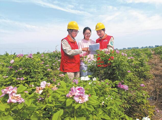 江蘇省啟東市“一村一制” 電力服務精準便民