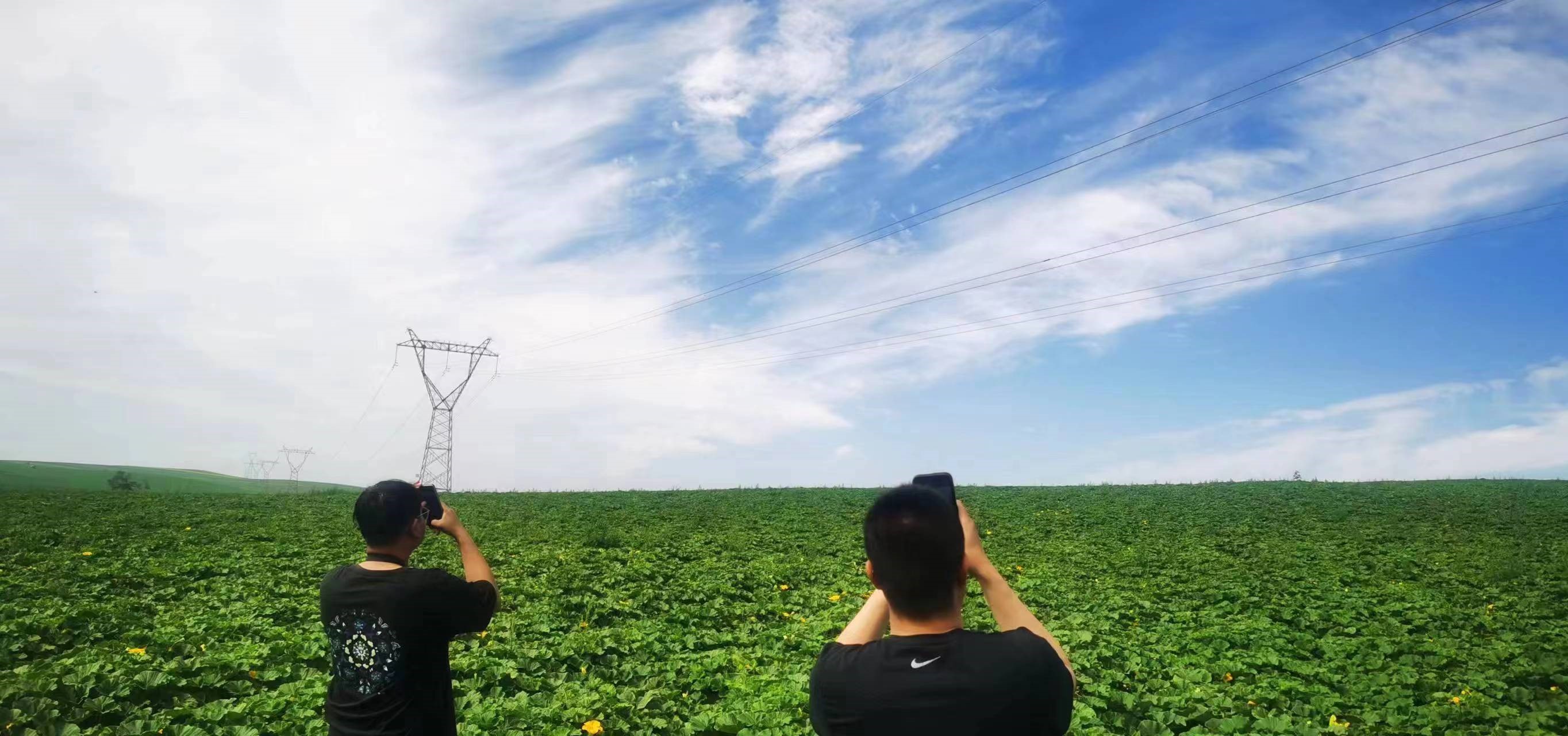 四子王輸變電管理處：防外力破壞，助安全運行