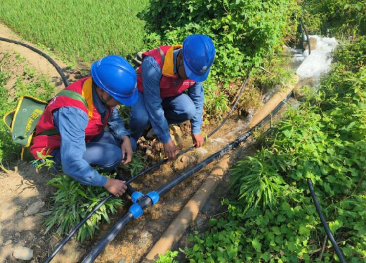 國網(wǎng)略陽縣供電公司電力服務(wù)為稻田灌溉添動力