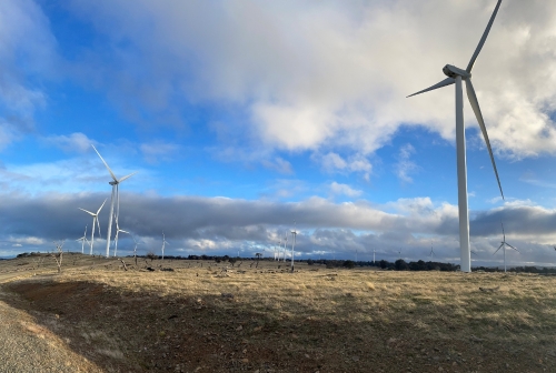 澳大利亞牧牛山風電項目提前完成年度發(fā)電目標